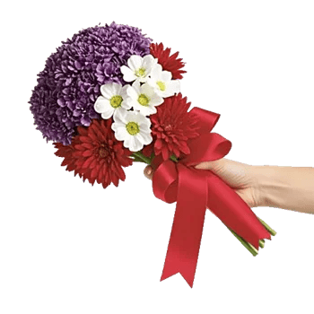 Crimson Blossom Harmony