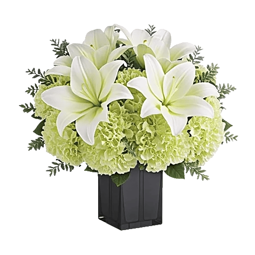 Ivory Blossom Radiance