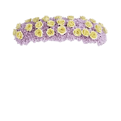 Petal Radiance Bliss