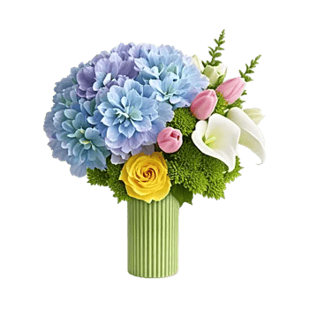 Azure Sky Blooms