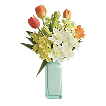 Velvet Tulip Display