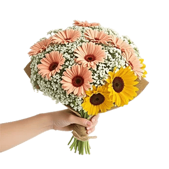 Blossom Petal Serenity