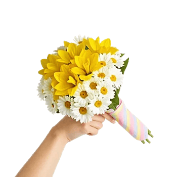 Coral Blossom Harmony