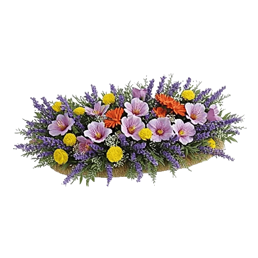 Lavender Bloom Grace