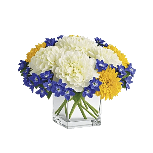 Radiant Bloom Cascade