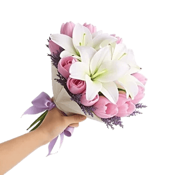 Blossom Harmony Display