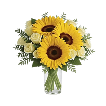 Radiant Bloom Cascade