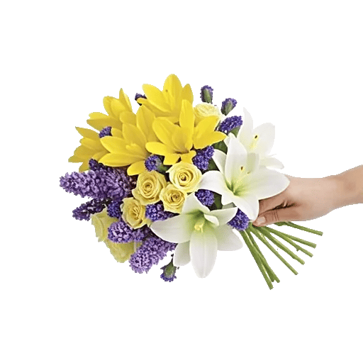 Blossom Harmony Display