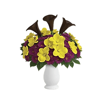 Elegant Calla Lilies