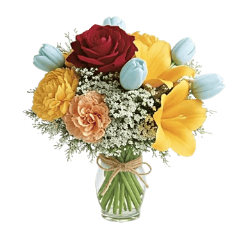 Crimson Rose Elegance