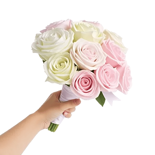 Blushing Rose Symphony