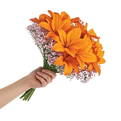 Blossom Glow Symphony