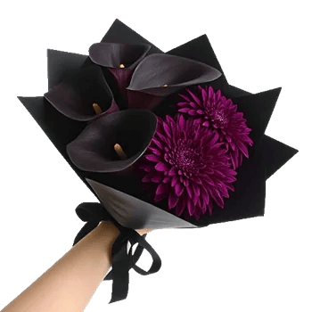 Elegant Calla Lilies
