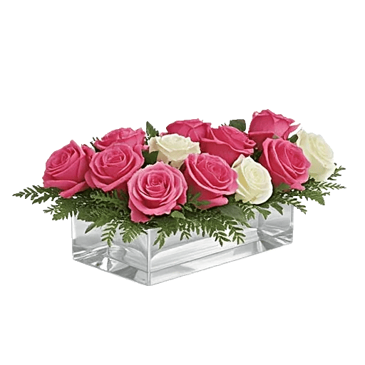 Delicate Petal Cascade