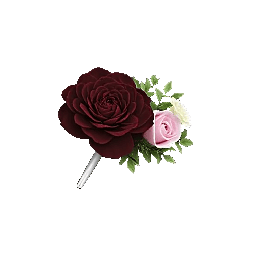 Delicate Petal Cascade