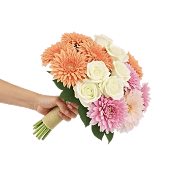 Petal Harmony Bliss