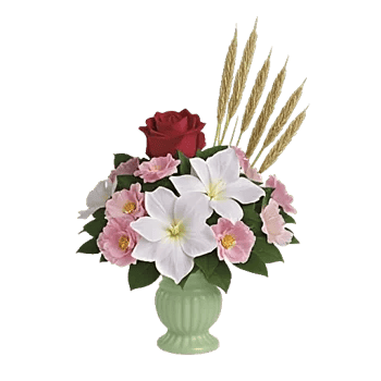 Ivory Blossom Radiance