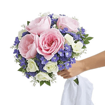 Peony Petal Harmony