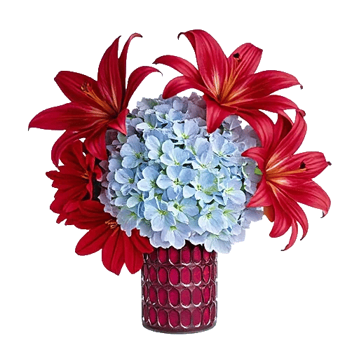 Crimson Lily Glow