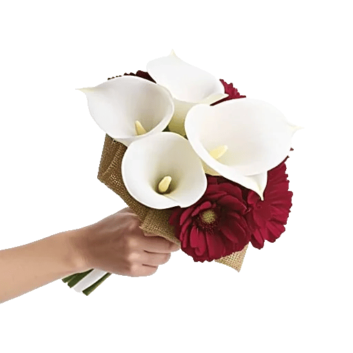 Elegant Calla Lilies