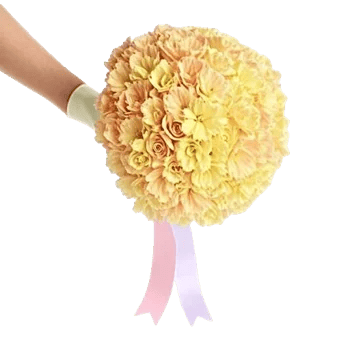 Petal Harmony Bliss