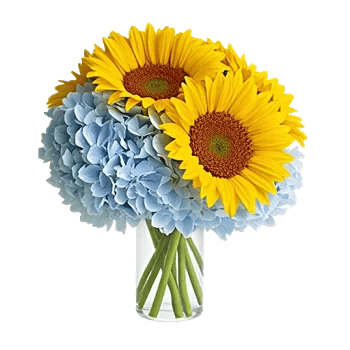 Radiant Bloom Cascade