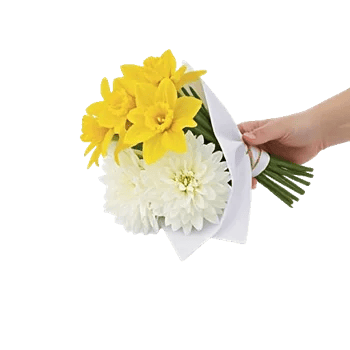 Blossom Harmony Display