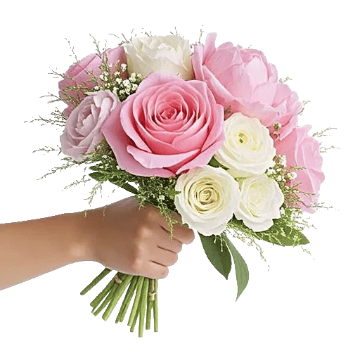Pink Pastel Roses