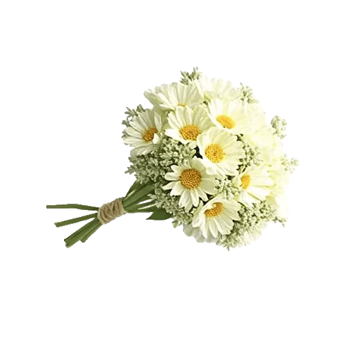 Serene Petal Harmony