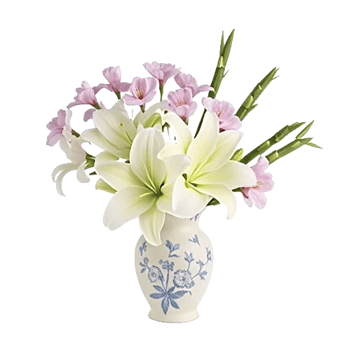 Ivory Blossom Radiance