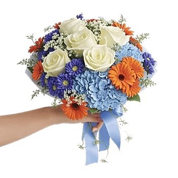 Serene Petal Harmony