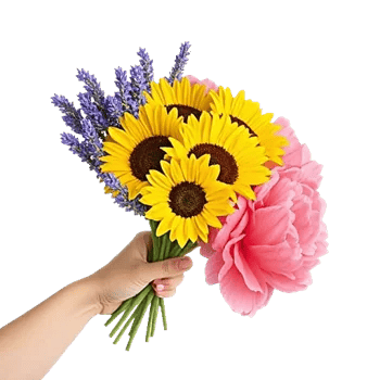 Twinkling Sunflower Dance