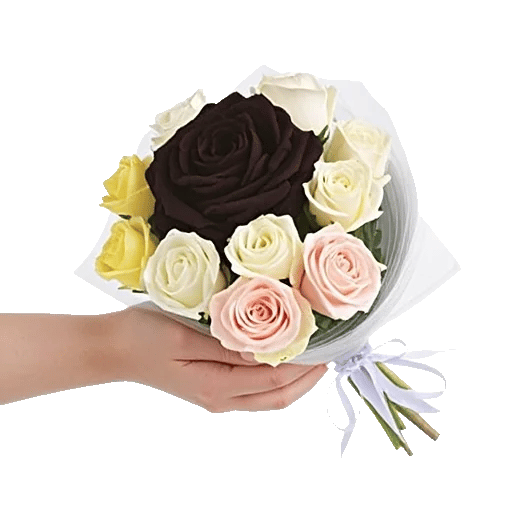 Crimson Rose Elegance