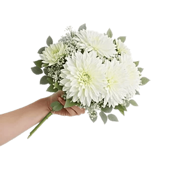 Ivory Garden Grace