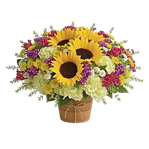 Amber Sunflower Glow