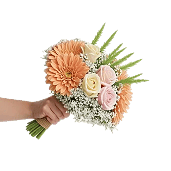 Pastel Pink Roses