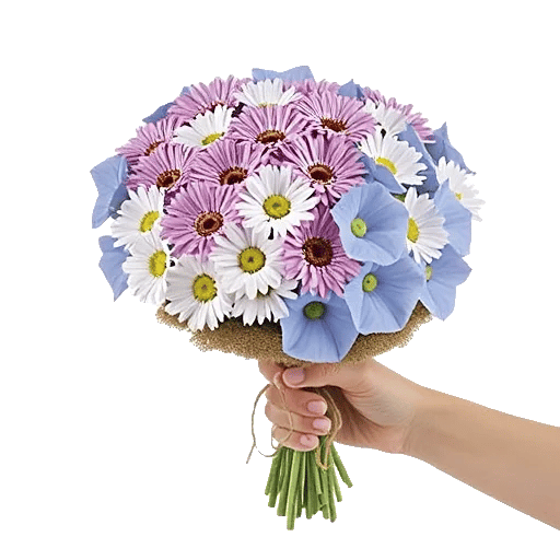 Pastel Blossom Grace