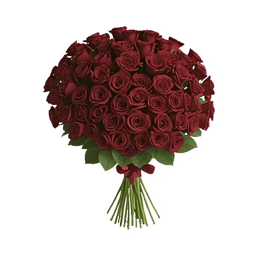 Crimson Rose Elegance
