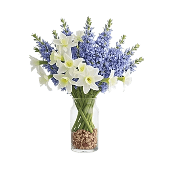 Ivory Blossom Radiance