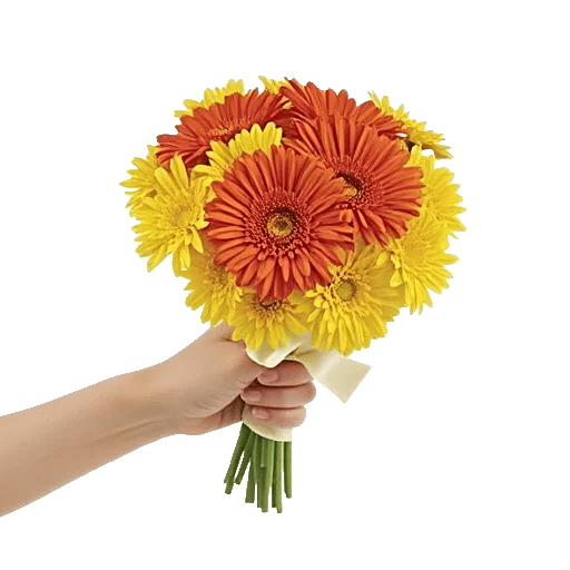 Petal Harmony Bliss