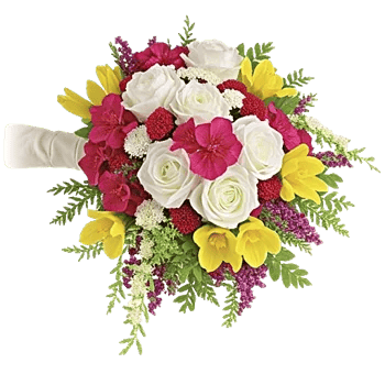 Delicate Petal Cascade