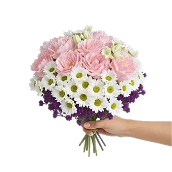 Pastel Pink Roses