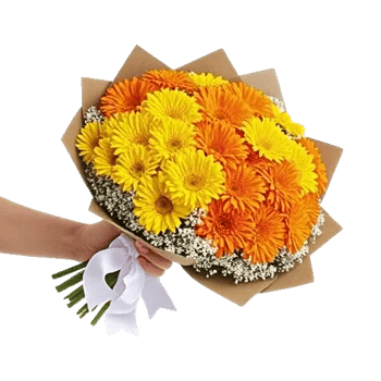 Golden Petal Harmony