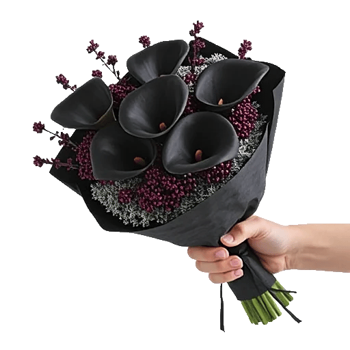 Elegant Calla Lilies