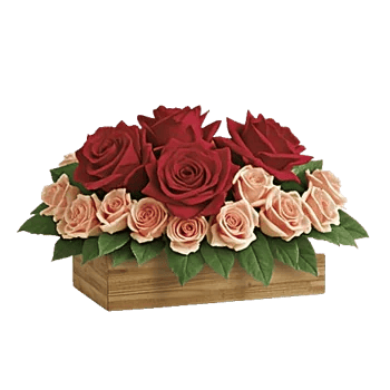 Blush Romantic Centerpiece