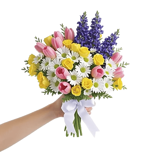 Blossom Harmony Display