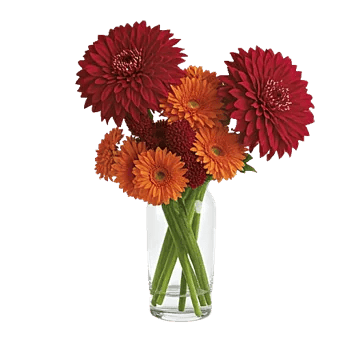 Crimson Blossom Harmony