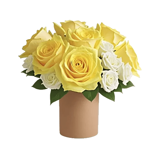 Radiant Rose Symphony