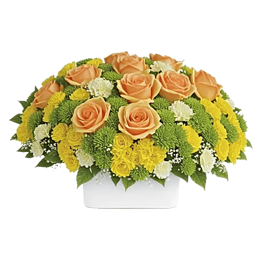 Delicate Petal Cascade