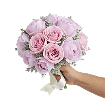Pastel Pink Roses